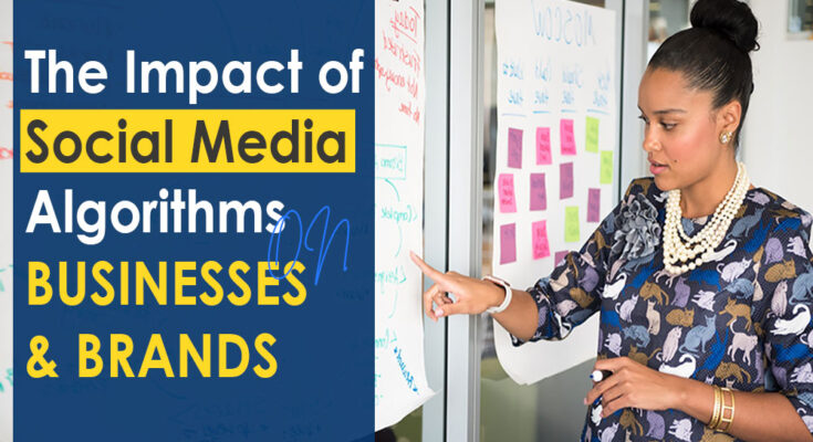 impact of social media algorithms on businesses and brands