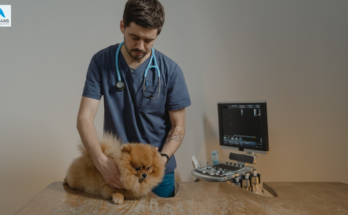 The Future of Pet Care with ChatGPT and Artificial Intelligence Technology