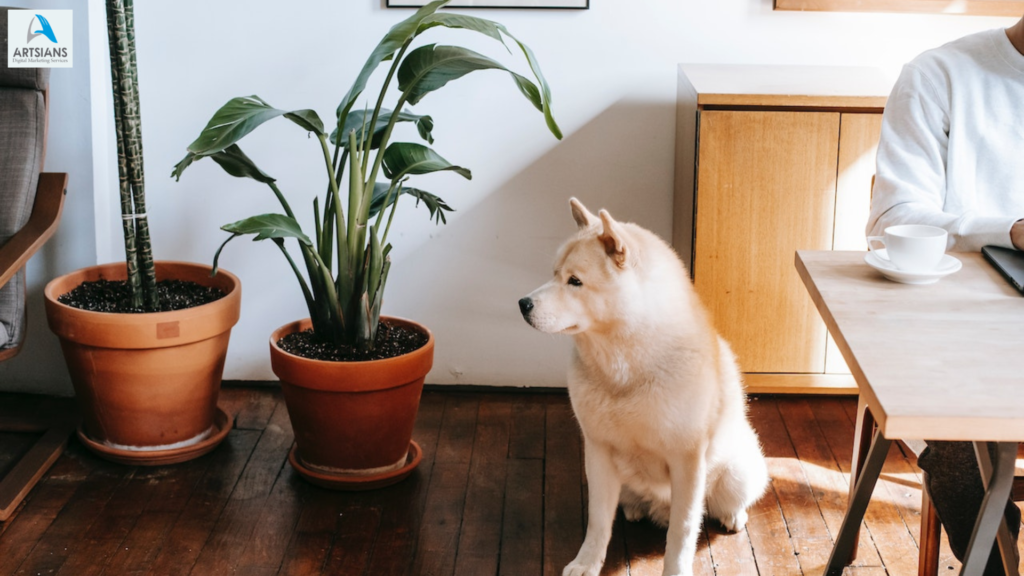 Using ChatGPT for Personalized Training and Behavior Modification for Pets